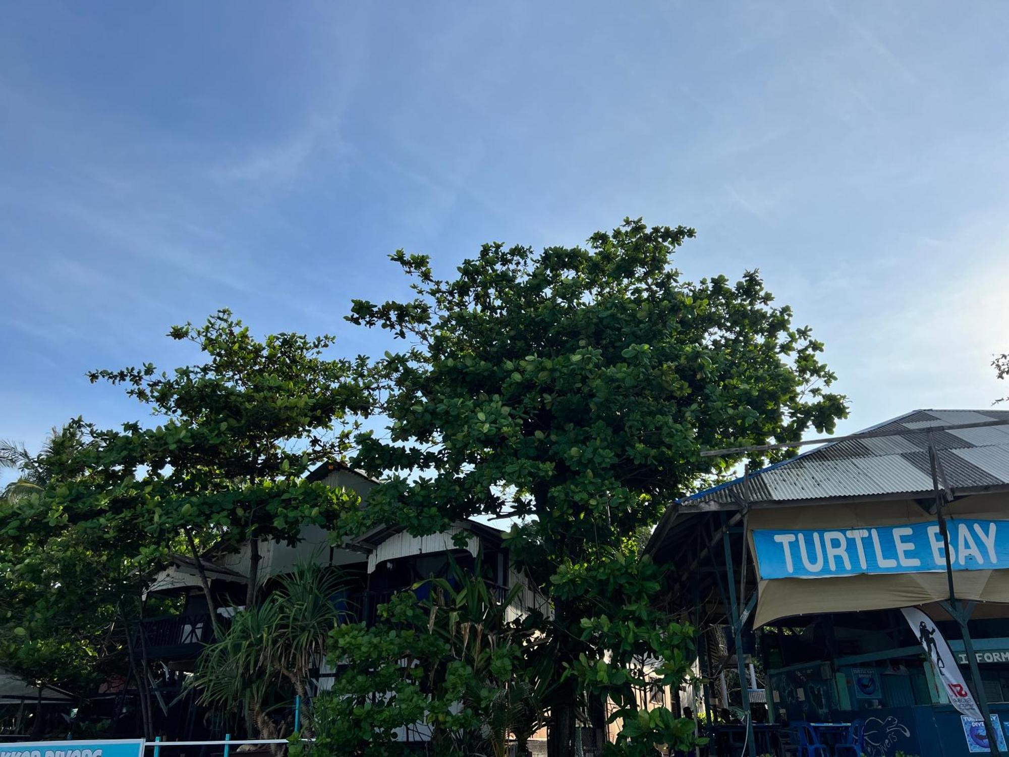 Ohlala Guesthouse Insula Perhentian Exterior foto